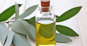 Top 3 Eucalyptus Oil Remedies for Fighting the Common Cold